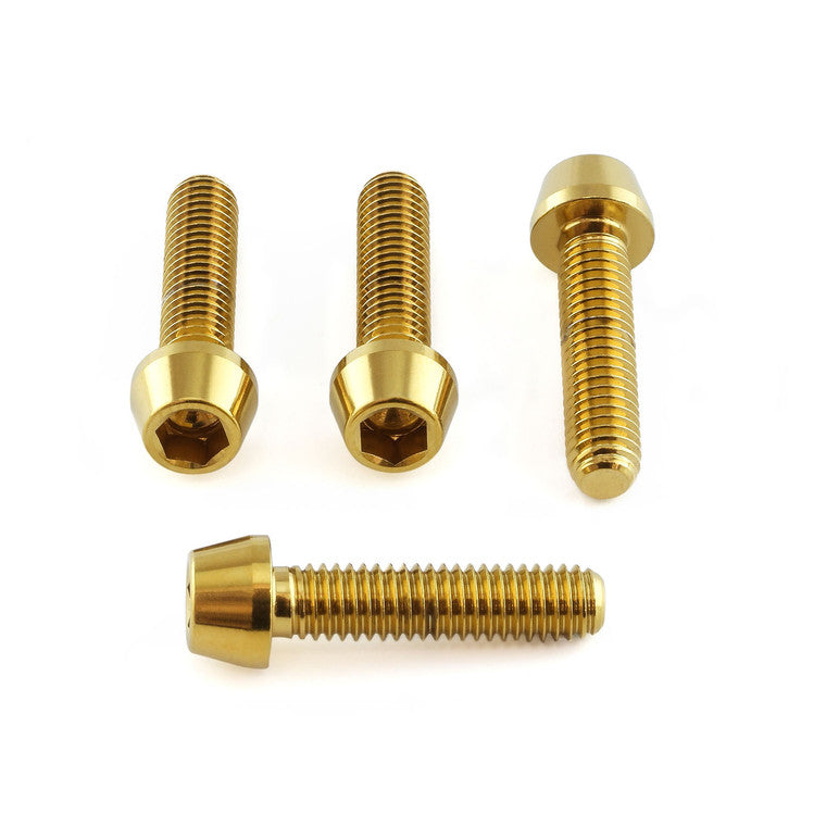 1999-2007 Suzuki GSX1300R Hayabusa Stainless Steel Brake & Clutch Lever Pinch Bolts SSBCPERCH40