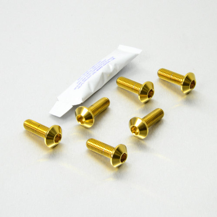 1999-2007 Suzuki GSX1300R Hayabusa Stainless Steel Rider Footrest Hanger Bolt Kit SSRREST60