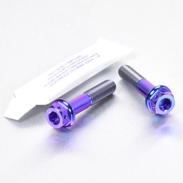 2008-2020 Suzuki GSX1300R Hayabusa Titanium Front Axle Pinch Bolt Kit DualDrive TIFAPINCH170DD
