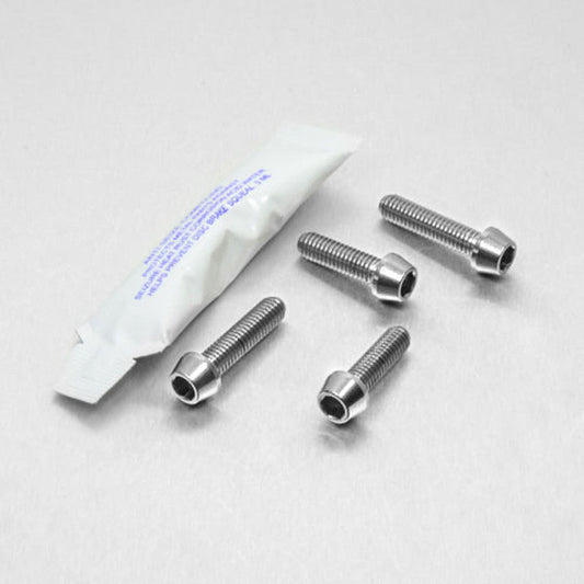 2005-2006 Suzuki GSXR1000 Stainless Steel Brake & Clutch Lever Pinch Bolts SSBCPERCH10