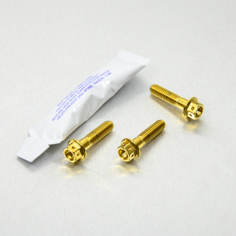 2012-2016 Suzuki GSXR1000 Stainless Steel Brake & Clutch Lever Pinch Bolts Race Spec SSBCPERCH230R