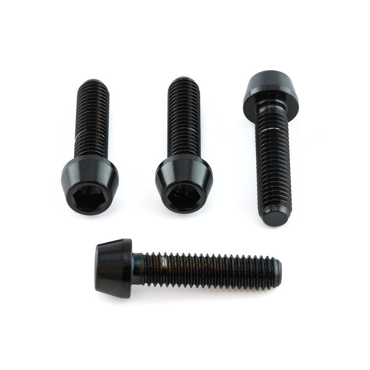 1999-2007 Suzuki GSX1300R Hayabusa Stainless Steel Brake & Clutch Lever Pinch Bolts SSBCPERCH40