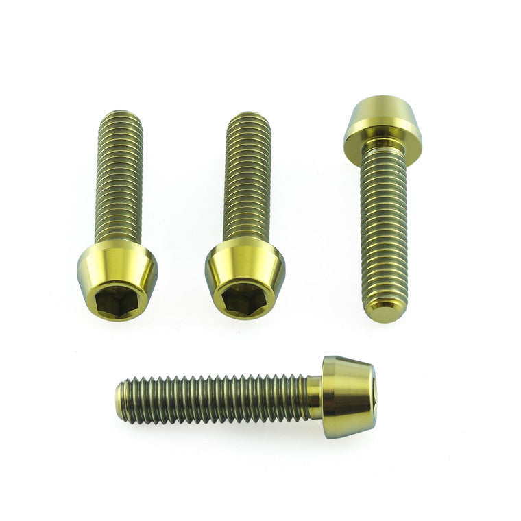 1999-2007 Suzuki GSX1300R Hayabusa Titanium Brake & Clutch Lever Perch Pinch Bolt Kit TIBCPERCH40