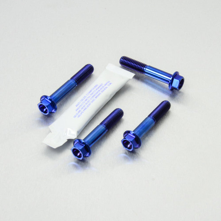 1999-2007 Suzuki GSX1300R Hayabusa Titanium Front Axle Pinch Bolt Kit TIFAPINCH10