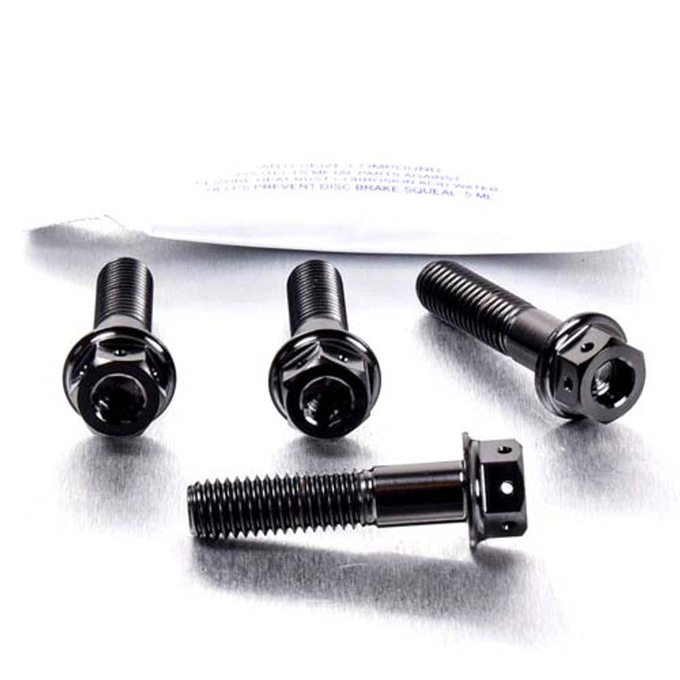 1999-2007 Suzuki GSX1300R Hayabusa Titanium Front Axle Pinch Bolt Kit DualDrive TIFAPINCH10DD
