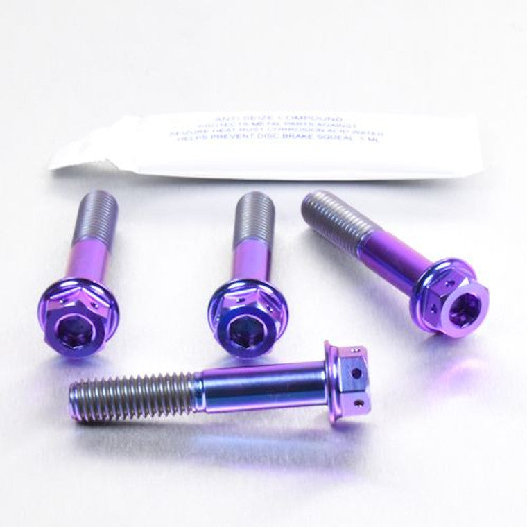 1999-2007 Suzuki GSX1300R Hayabusa Titanium Front Axle Pinch Bolt Kit DualDrive TIFAPINCH10DD