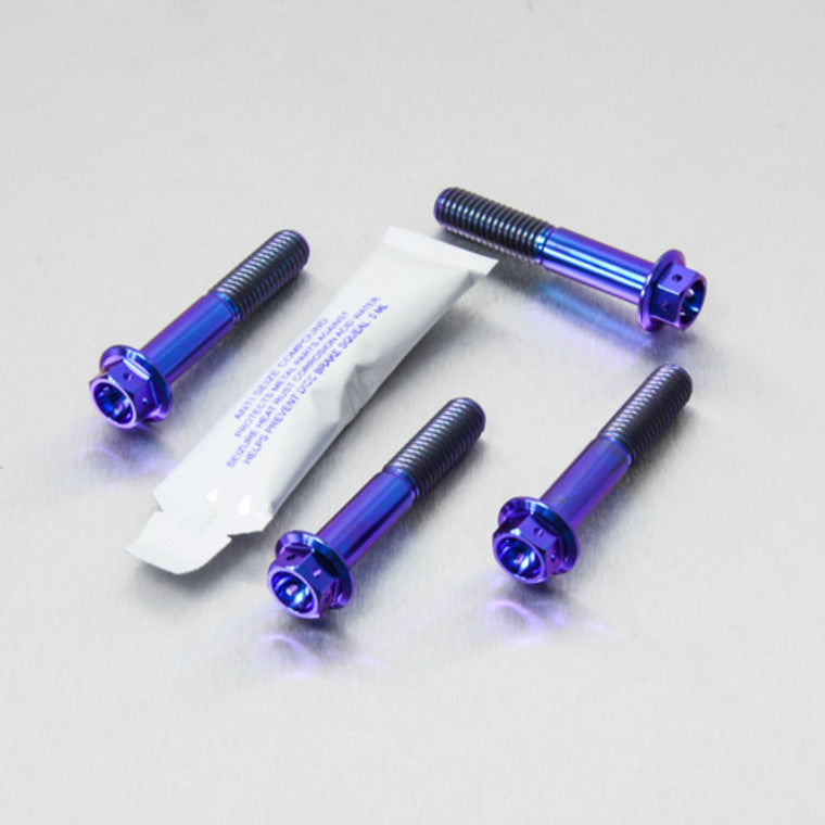 1999-2007 Suzuki GSX1300R Hayabusa Titanium Front Axle Pinch Bolt Kit Race Spec TIFAPINCH10R