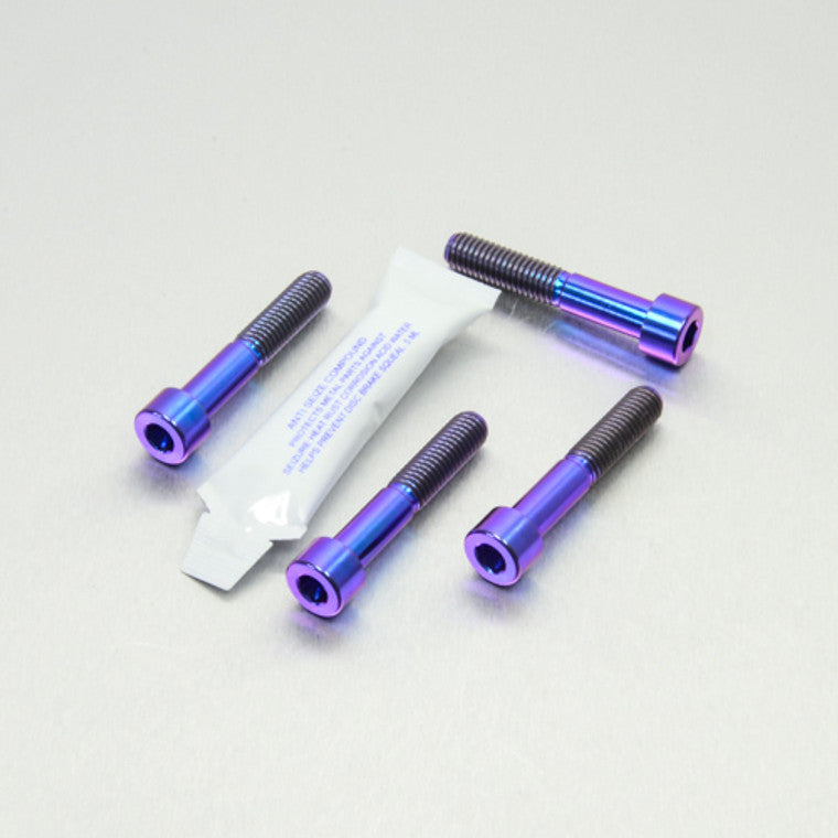1999-2007 Suzuki GSX1300R Hayabusa Titanium Front Axle Pinch Bolt Kit TIFAPINCH510