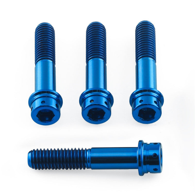 2021-2025 Suzuki GSX1300R Hayabusa Titanium Front Axle Pinch Bolt Kit Flanged Socket Cap Race Spec TIFAPINCH830