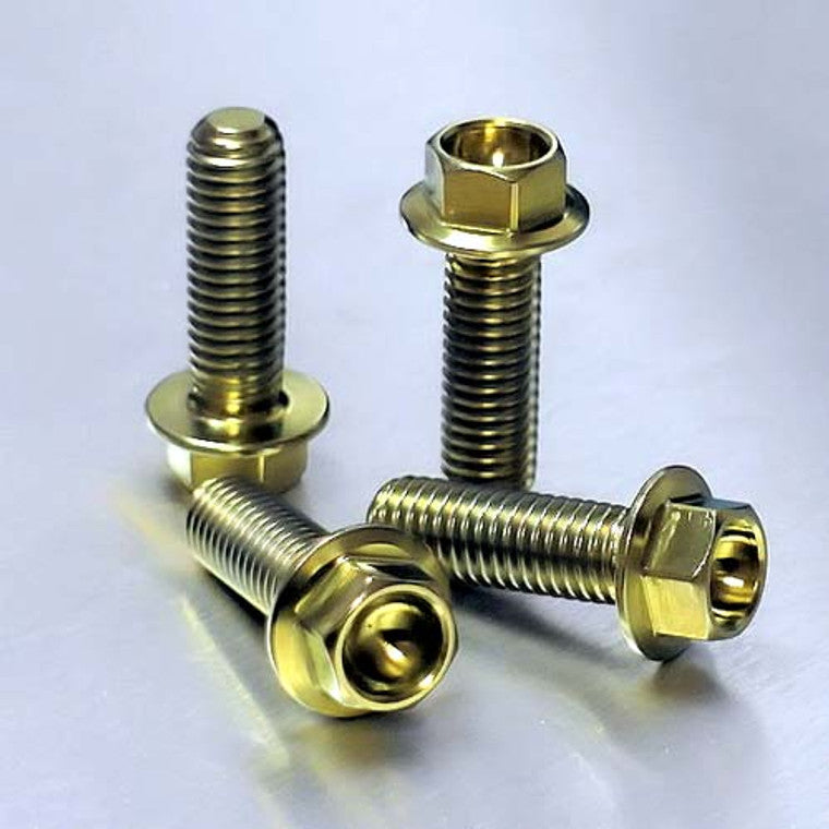 2001-2002 Suzuki GSXR1000 Titanium Front Brake Caliper Mount Bolt Kit TIFBMON20