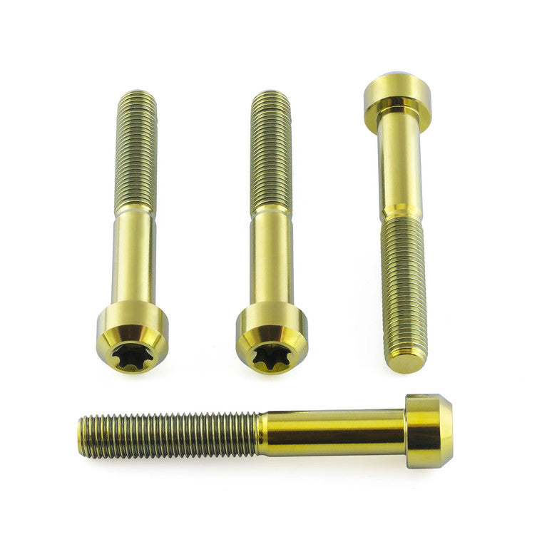 2017-2025 Suzuki GSXR1000 Titanium Front Brake Caliper Mount Bolt Kit Torx Drive TIFBMON770