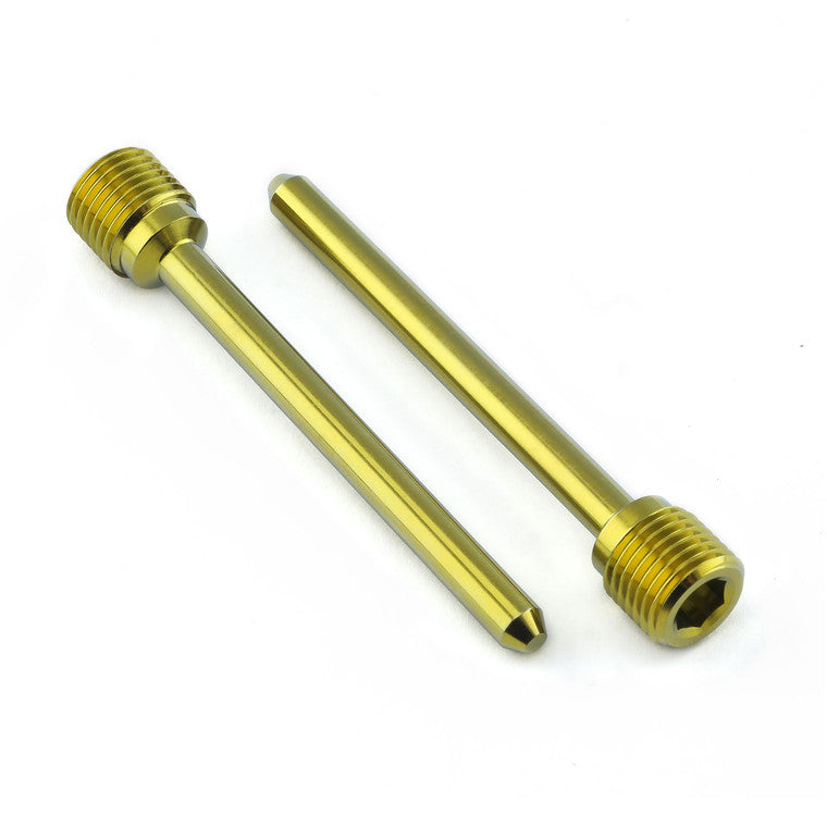 2001-2002 Suzuki GSXR1000 Titanium Brake Caliper Pad Pin M10x(1.00mm) Tokico Front Pack x2 TIPINBP007-2Z1